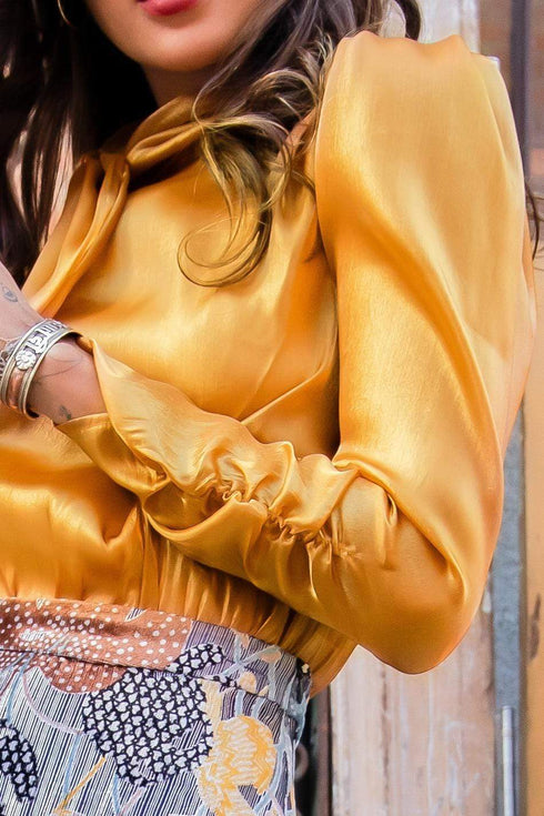 Zadi Organza Blouse in Autumnal Ochre